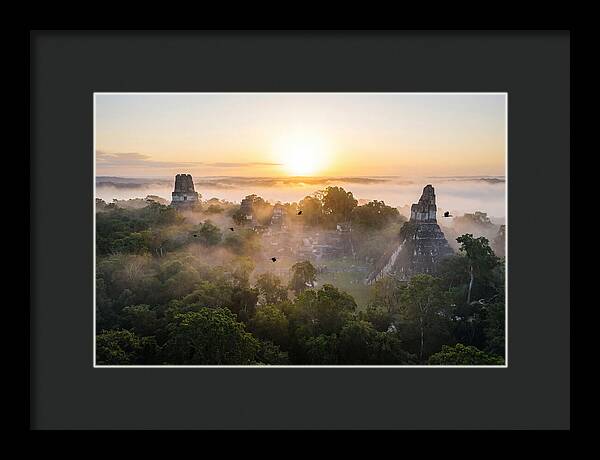Tikal Temple Iv At Dawn