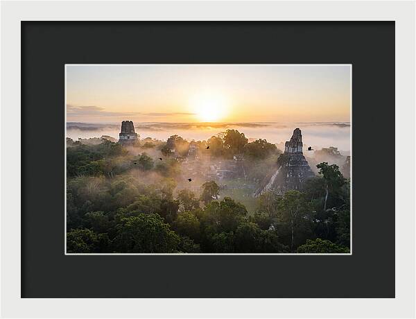 Tikal Temple Iv At Dawn