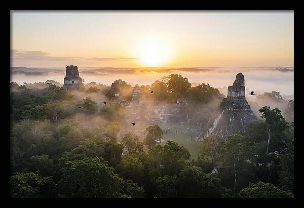 Tikal Temple Iv At Dawn