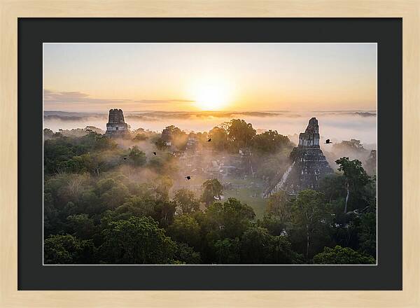Tikal Temple Iv At Dawn