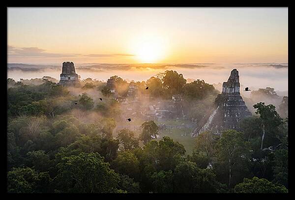 Tikal Temple Iv At Dawn