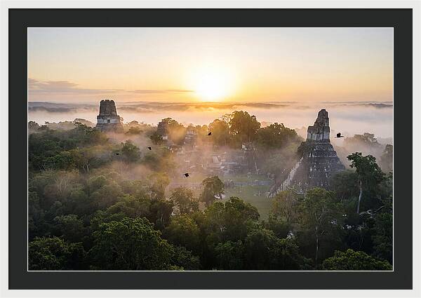 Tikal Temple Iv At Dawn