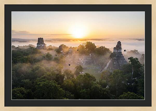 Tikal Temple Iv At Dawn