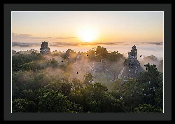 Tikal Temple Iv At Dawn
