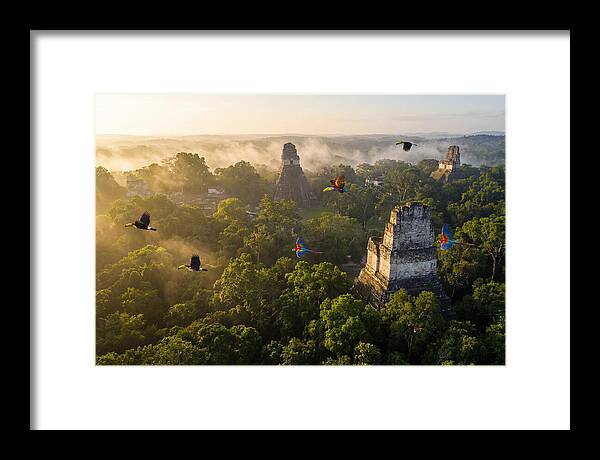Tikal Temple Iv At Sunrise