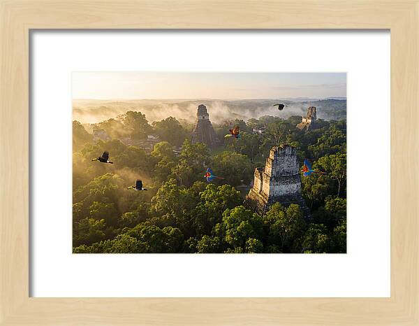Tikal Temple Iv At Sunrise
