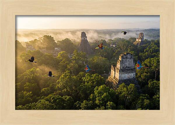 Tikal Temple Iv At Sunrise