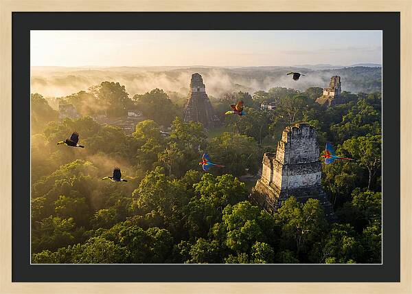 Tikal Temple Iv At Sunrise