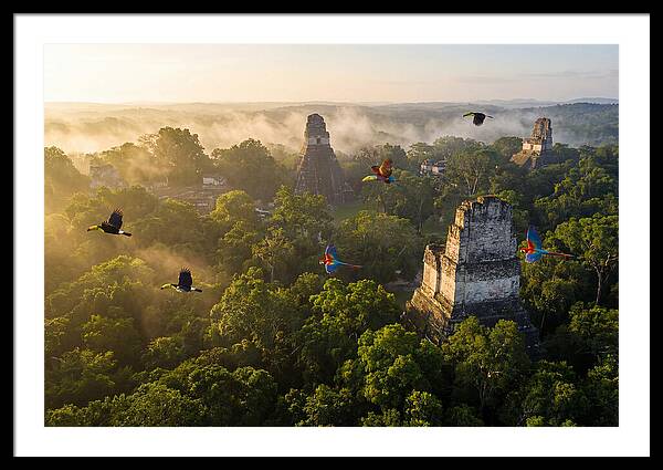 Tikal Temple Iv At Sunrise