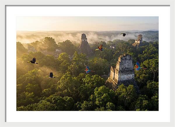 Tikal Temple Iv At Sunrise