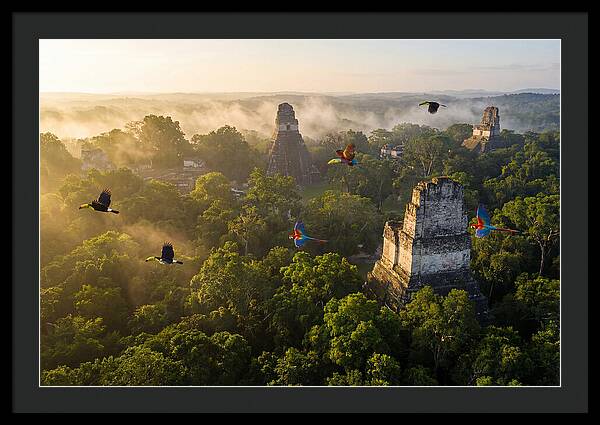 Tikal Temple Iv At Sunrise