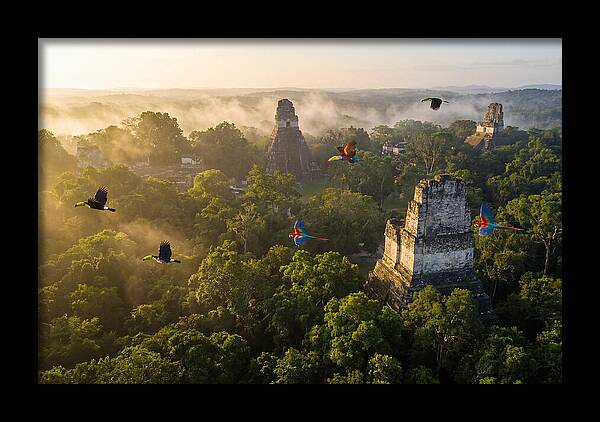 Tikal Temple Iv At Sunrise