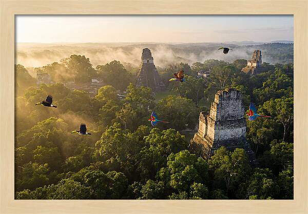Tikal Temple Iv At Sunrise