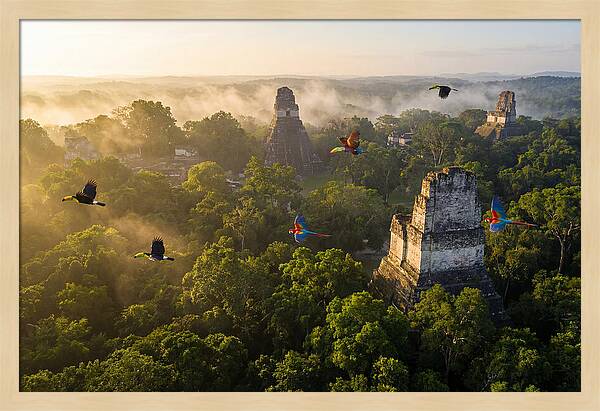 Tikal Temple Iv At Sunrise