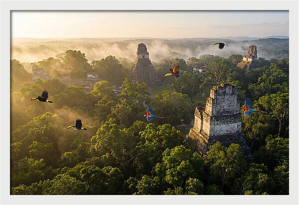 Tikal Temple Iv At Sunrise