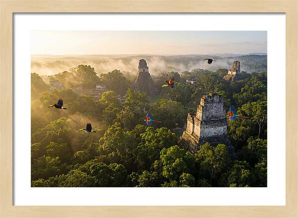 Tikal Temple Iv At Sunrise