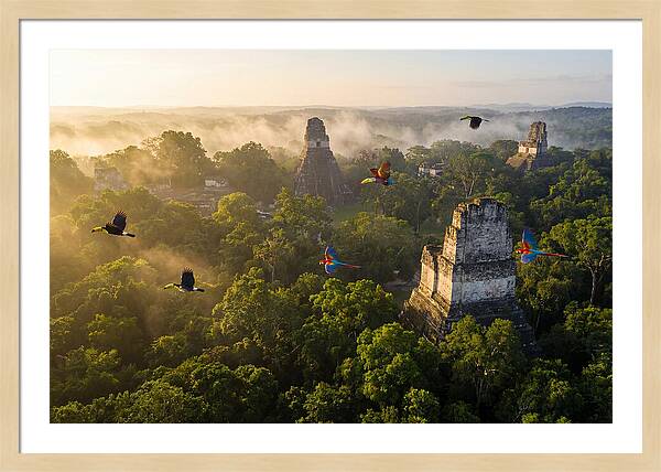 Tikal Temple Iv At Sunrise