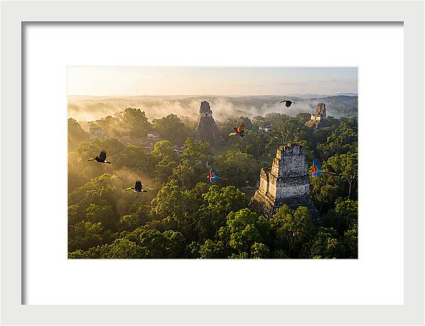 Tikal Temple Iv At Sunrise