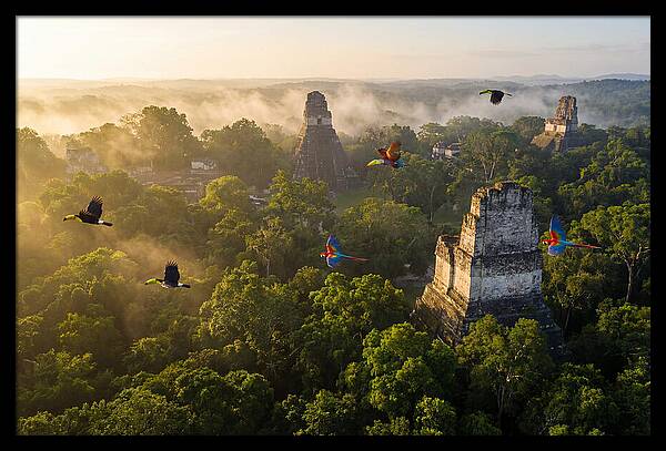 Tikal Temple Iv At Sunrise