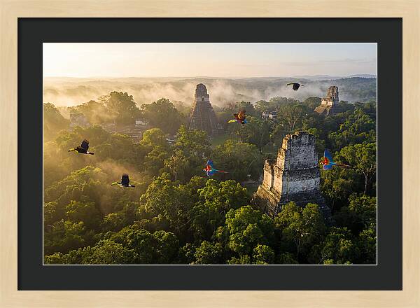 Tikal Temple Iv At Sunrise