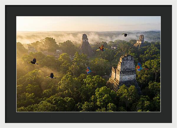 Tikal Temple Iv At Sunrise