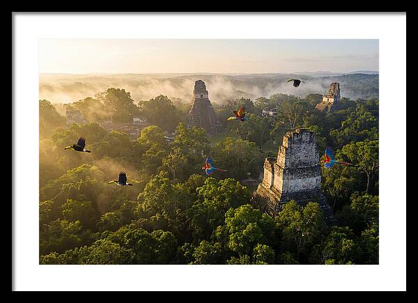Tikal Temple Iv At Sunrise