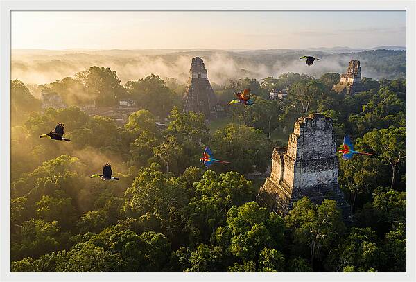 Tikal Temple Iv At Sunrise