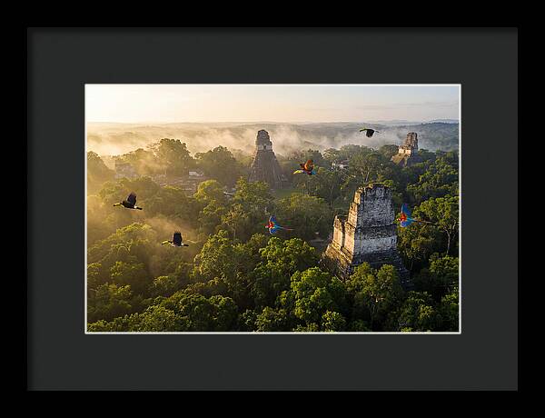 Tikal Temple Iv At Sunrise