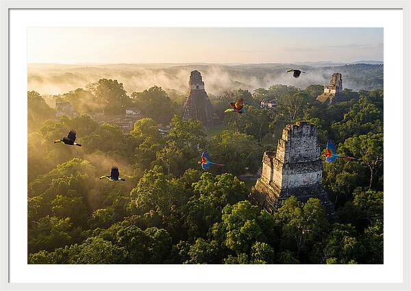 Tikal Temple Iv At Sunrise