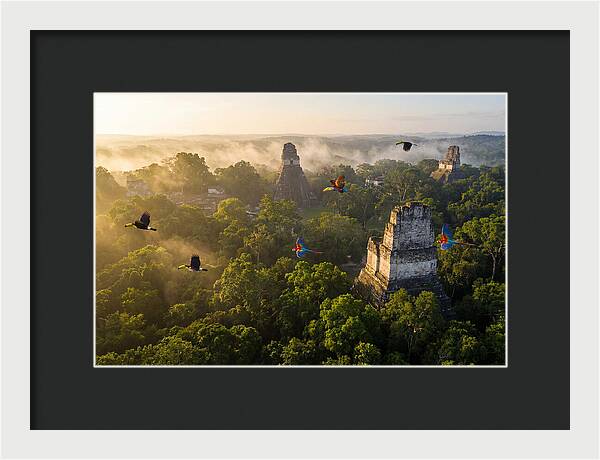 Tikal Temple Iv At Sunrise