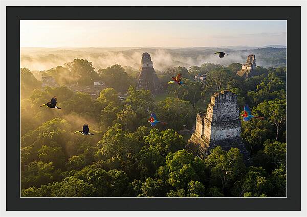 Tikal Temple Iv At Sunrise