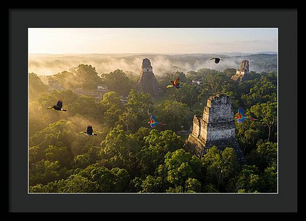 Tikal Temple Iv At Sunrise