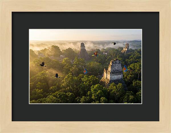 Tikal Temple Iv At Sunrise