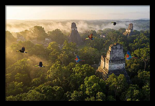 Tikal Temple Iv At Sunrise
