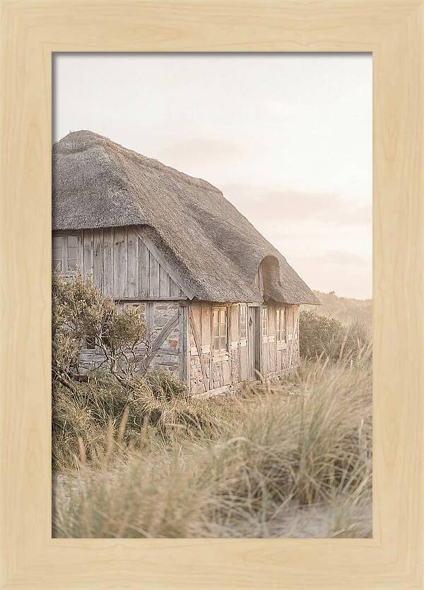 Timbered Cottage At Dusk