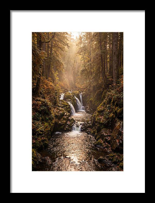 Tinkers Creek Serenity