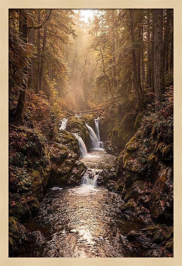 Tinkers Creek Serenity