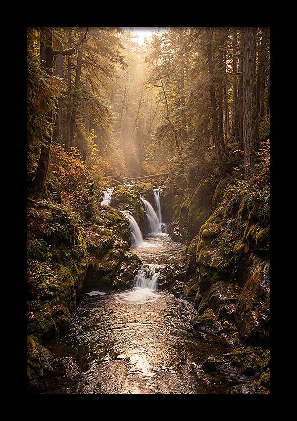 Tinkers Creek Serenity