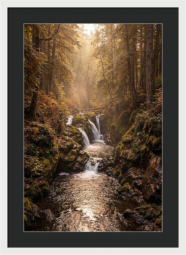 Tinkers Creek Serenity