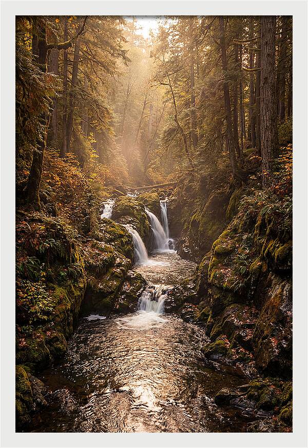 Tinkers Creek Serenity