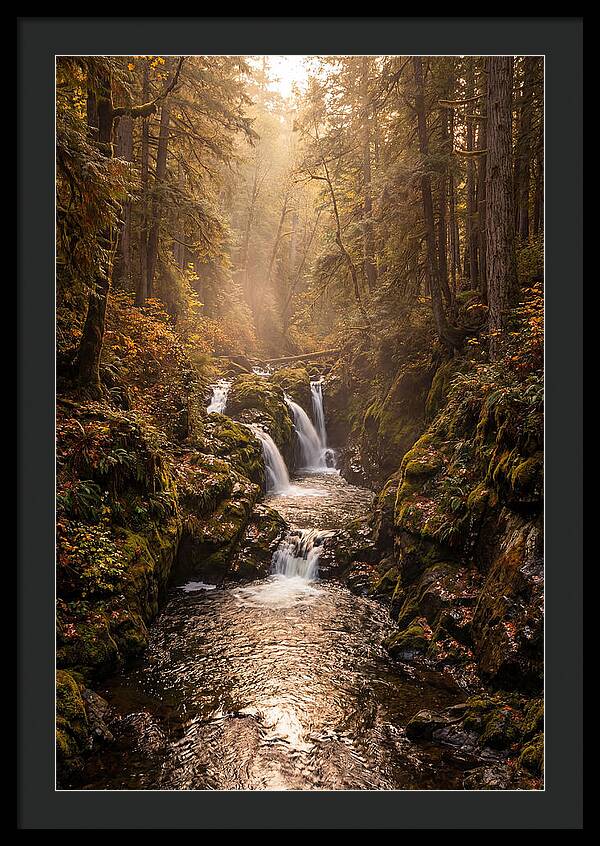 Tinkers Creek Serenity