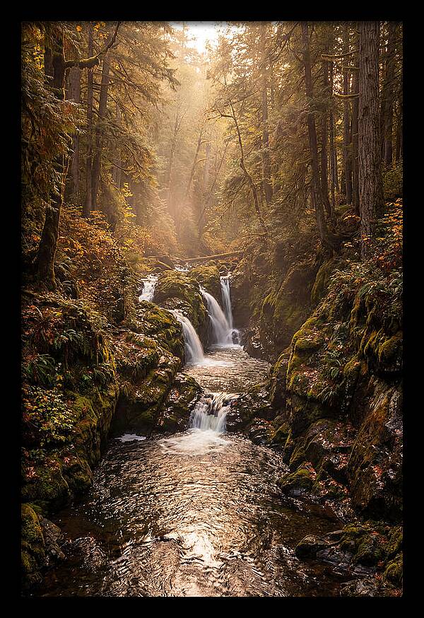 Tinkers Creek Serenity