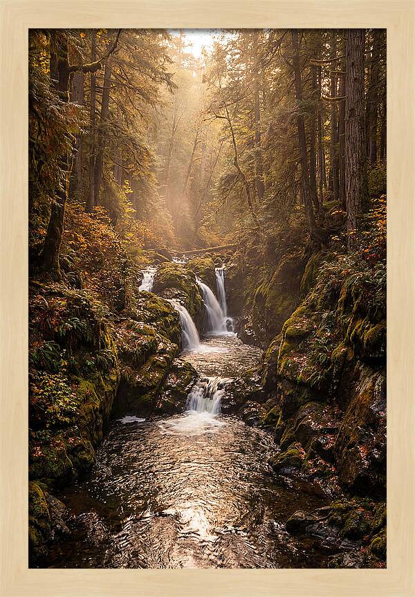 Tinkers Creek Serenity