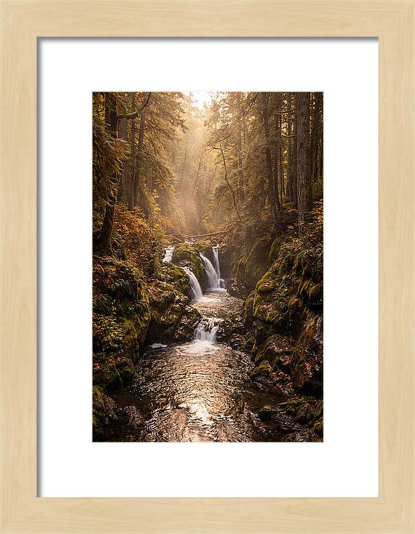 Tinkers Creek Serenity
