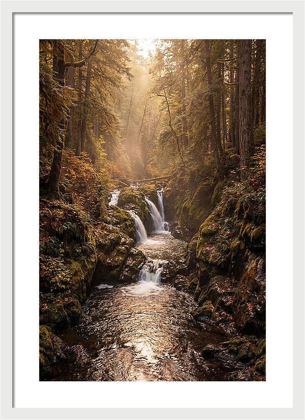 Tinkers Creek Serenity