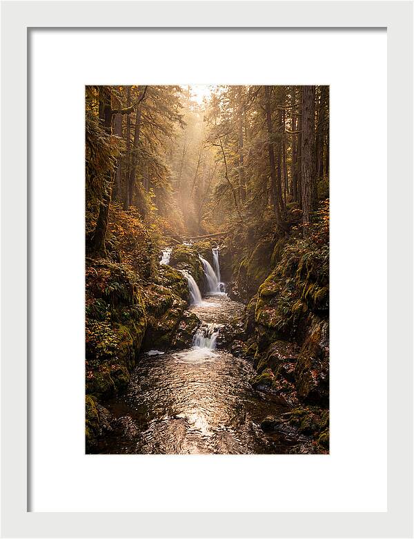 Tinkers Creek Serenity