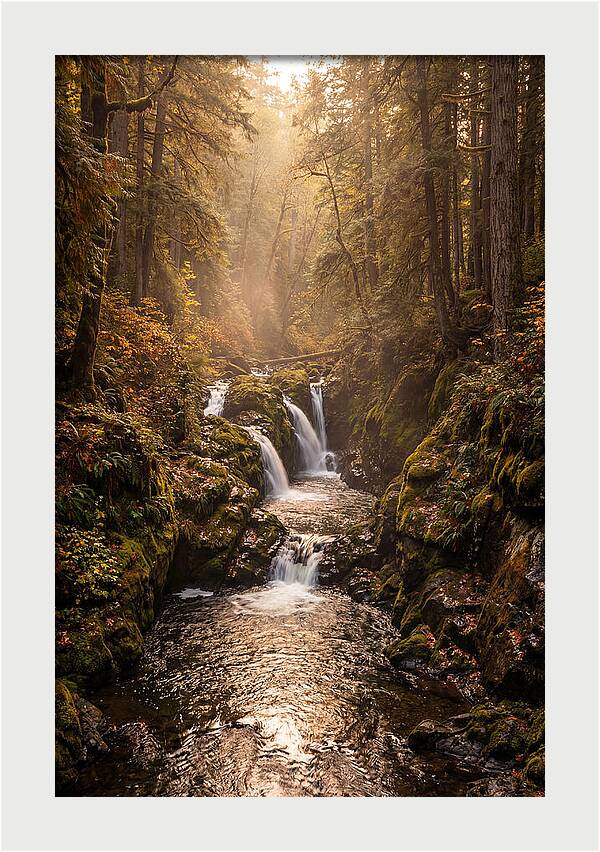Tinkers Creek Serenity