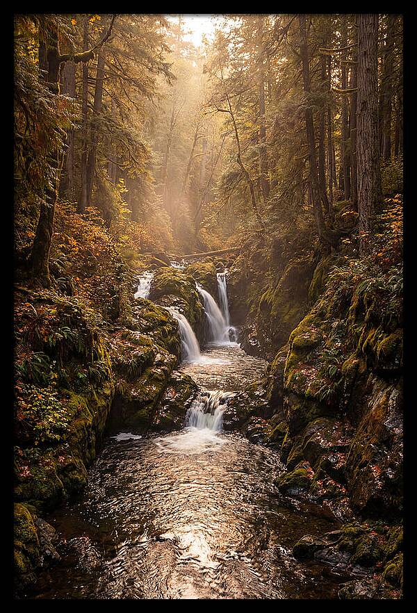 Tinkers Creek Serenity