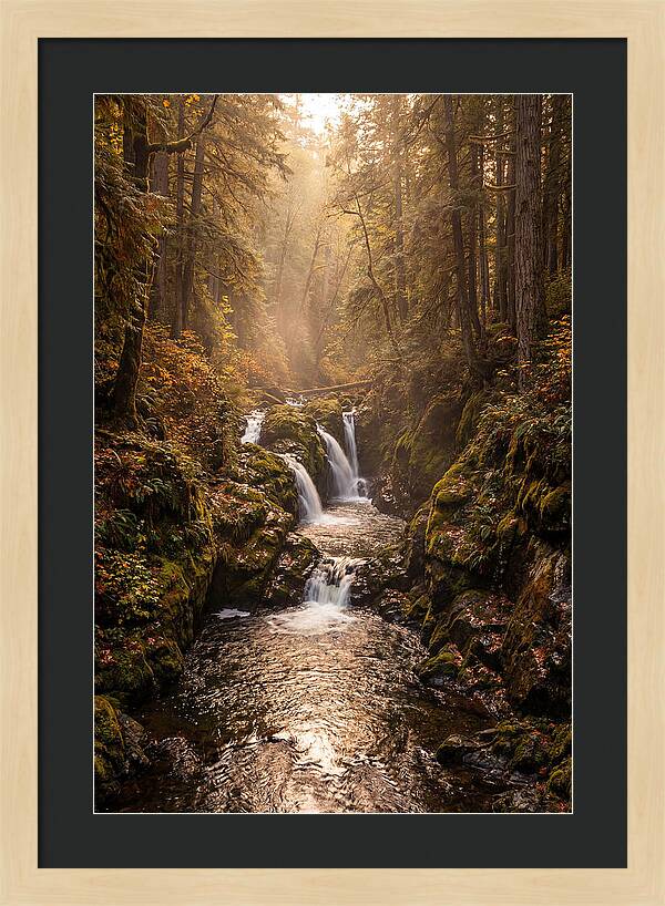Tinkers Creek Serenity