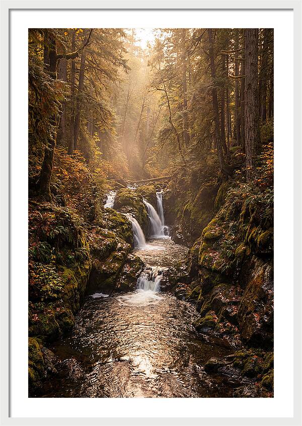 Tinkers Creek Serenity